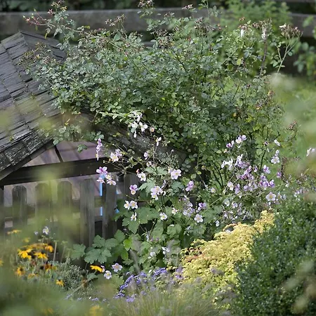 Landhaus Alpina Penzion Mittersill