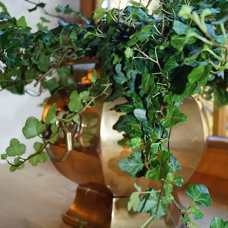 Landhaus Alpina Penzion 3*