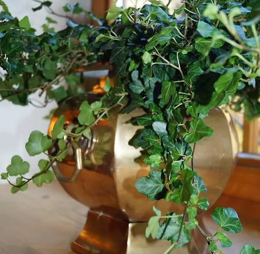 Landhaus Alpina Pensionat 3*